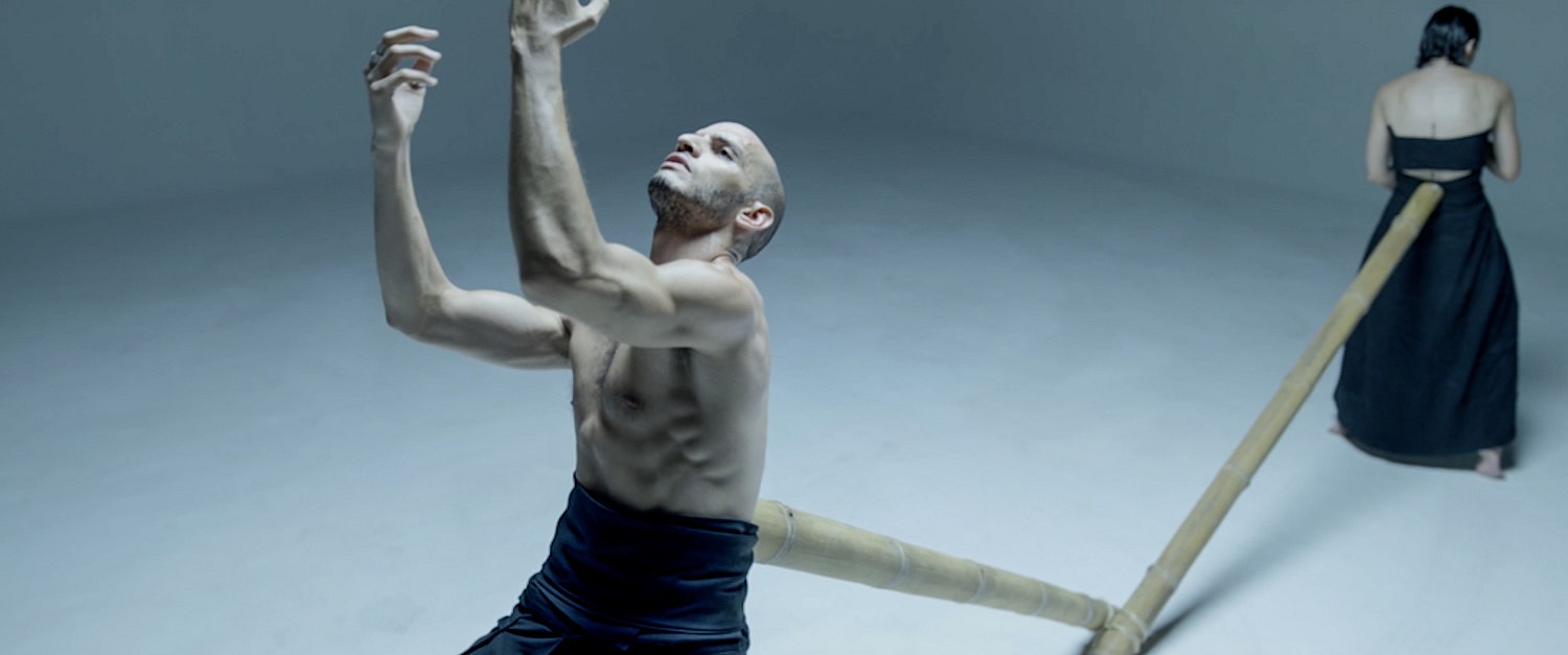 "SENSITIVITY", 2017   /  DIRECTOR + DOP: F Rousseau  